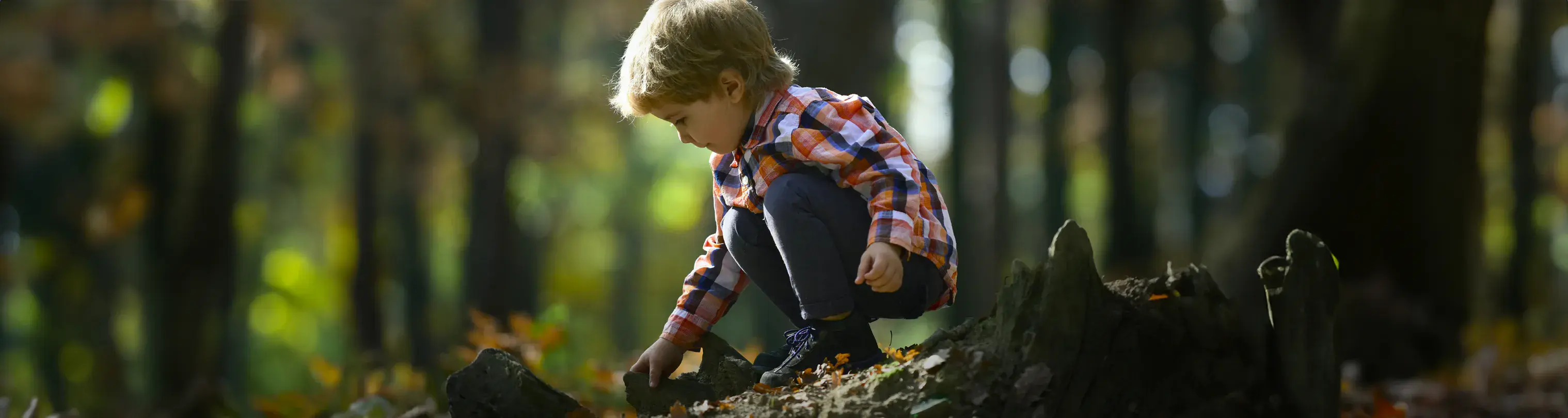 Child playing in the dirt in a forest